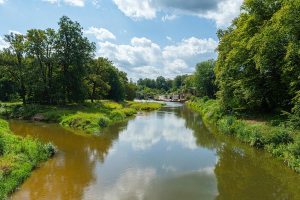 Yoga pour seniors : une activité bien-être adaptée